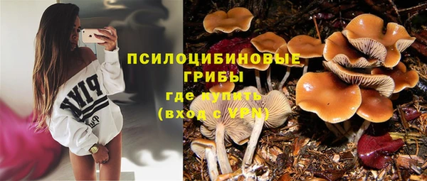 экстази Богородицк