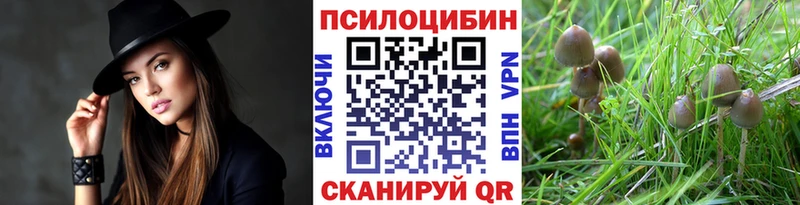 Псилоцибиновые грибы Cubensis  наркошоп  блэк спрут   Кочубеевское 